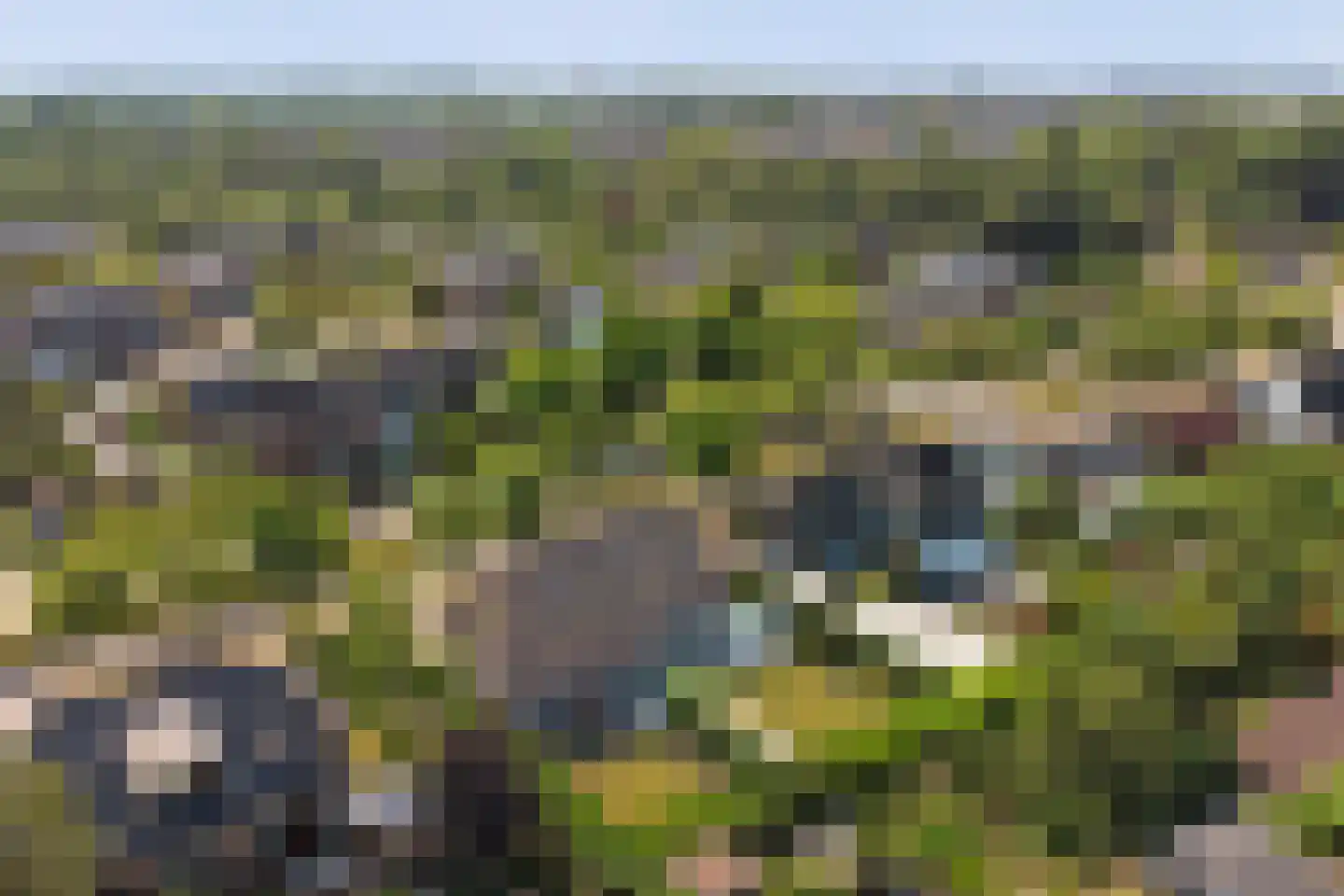 Noordhoeklaan 14 Goes thumbnail 43