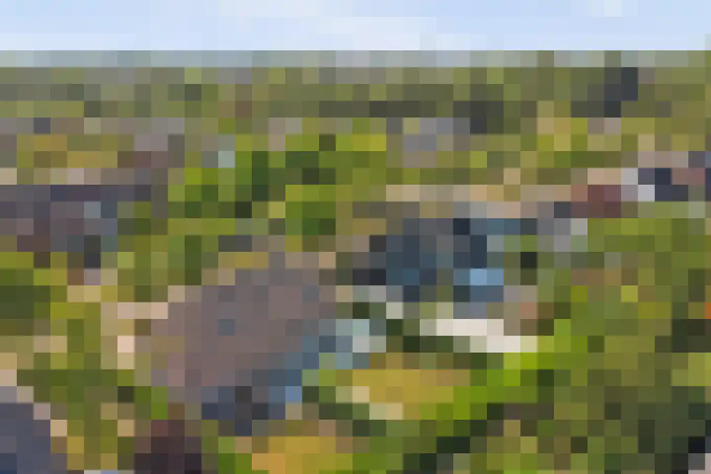 Noordhoeklaan 14 Goes thumbnail 44