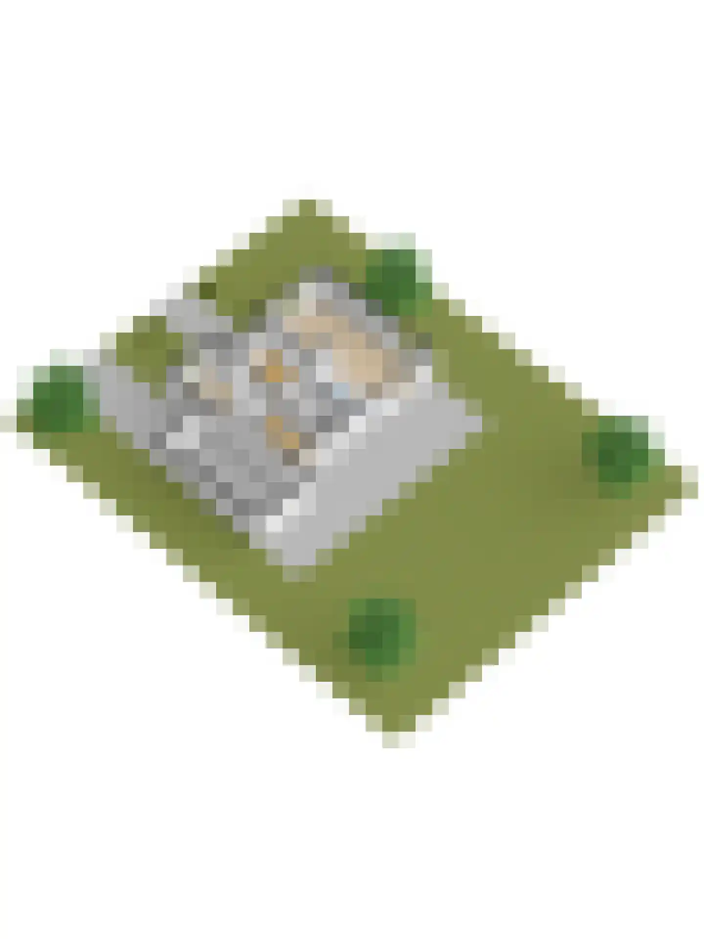 Noordhoeklaan 14 Goes thumbnail 54