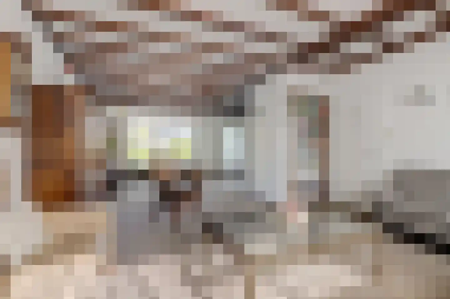 Noordhoeklaan 14 Goes thumbnail 9