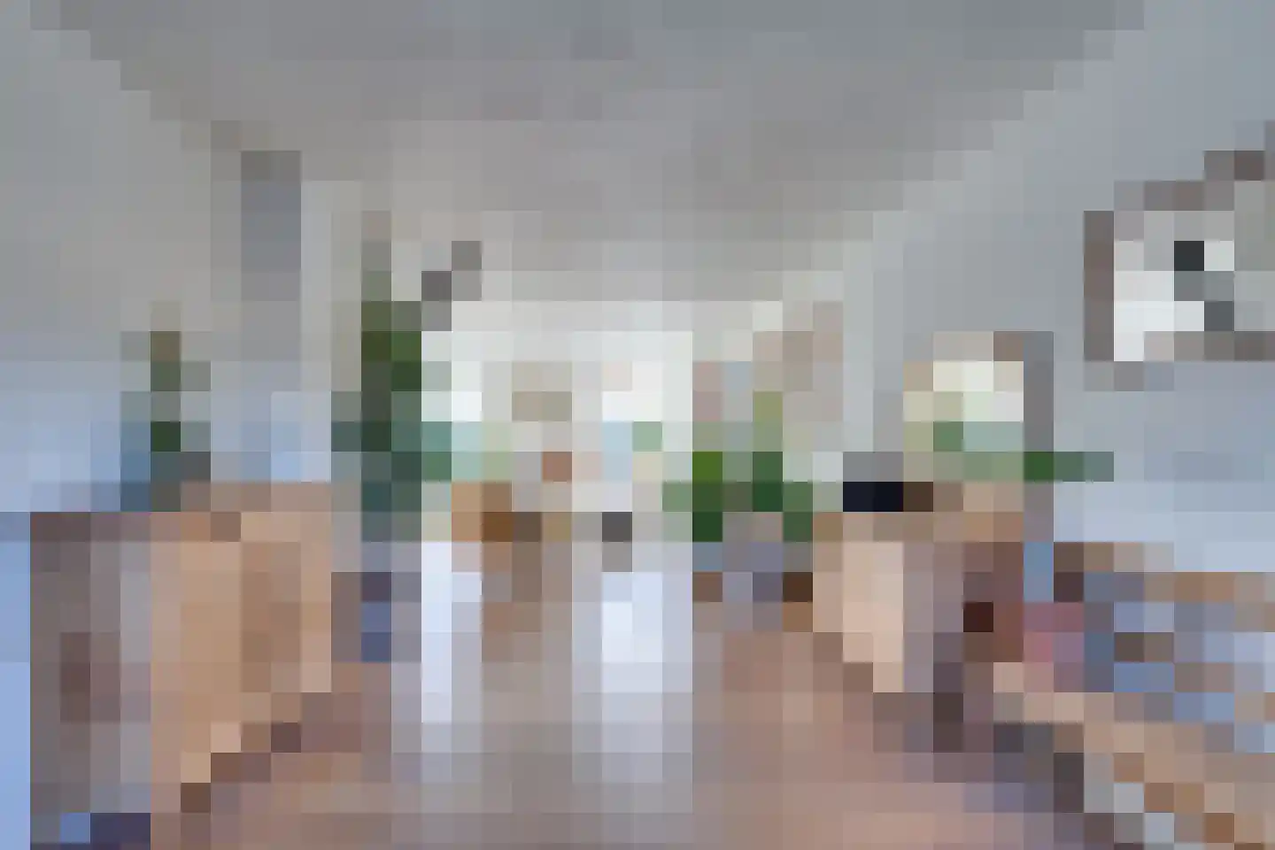 Noordhoeklaan 24 Goes thumbnail 12