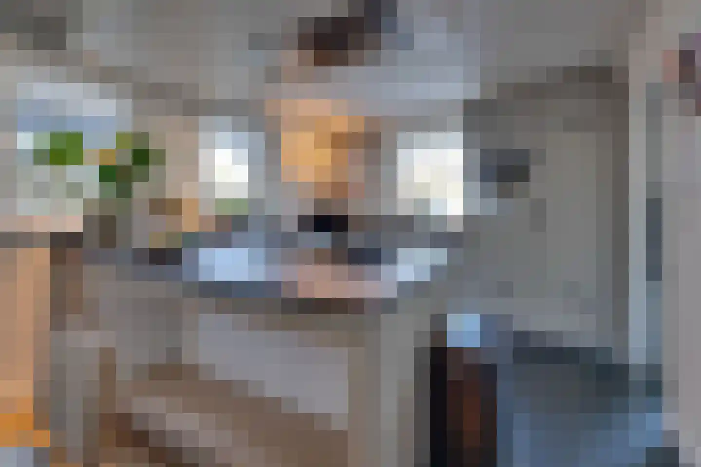 Noordhoeklaan 24 Goes thumbnail 16