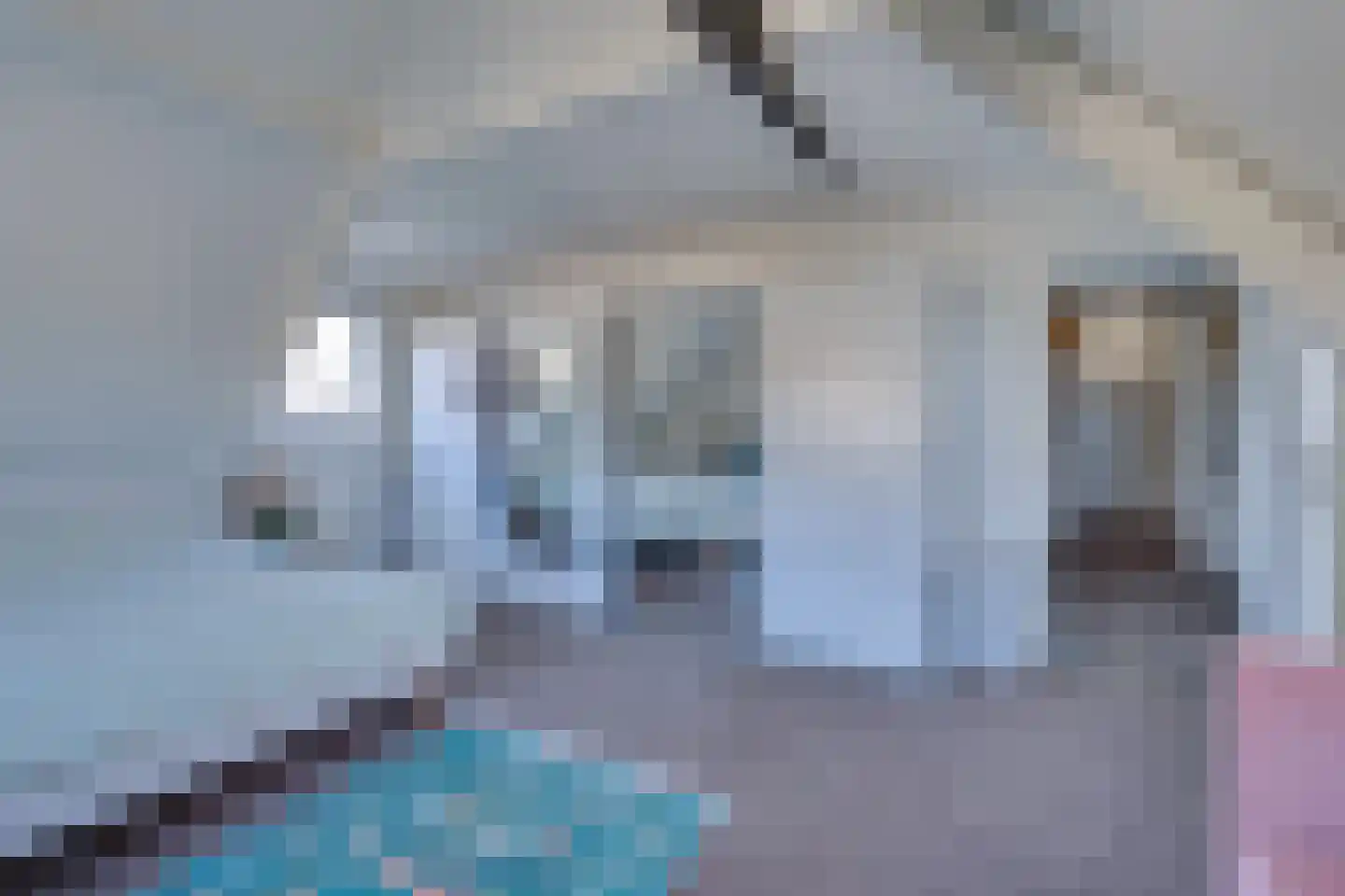 Noordhoeklaan 24 Goes thumbnail 32