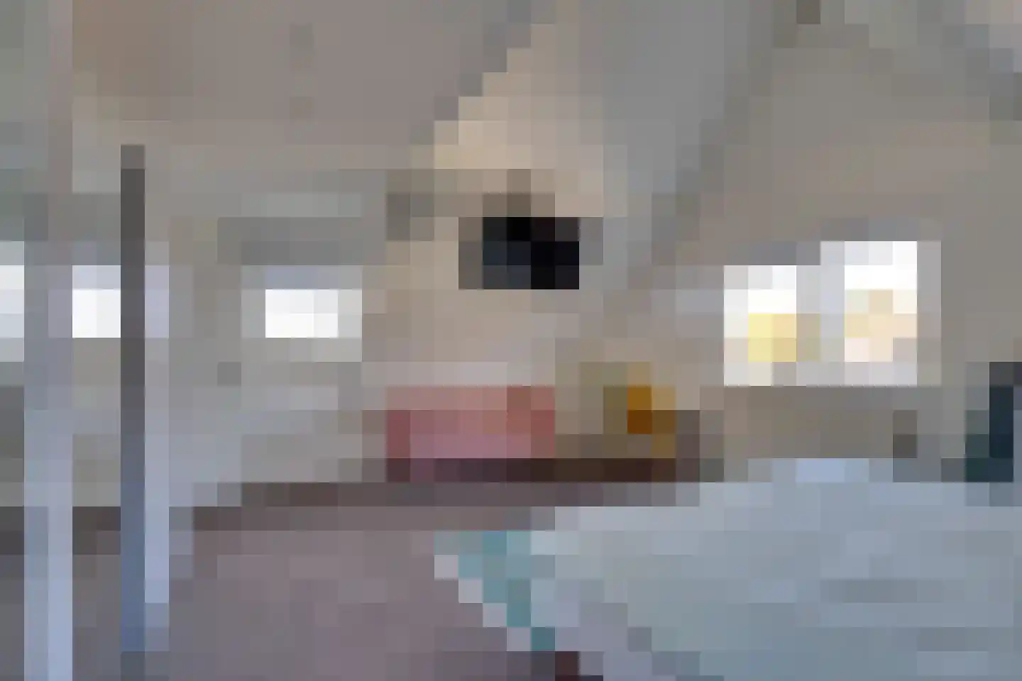 Noordhoeklaan 24 Goes thumbnail 33