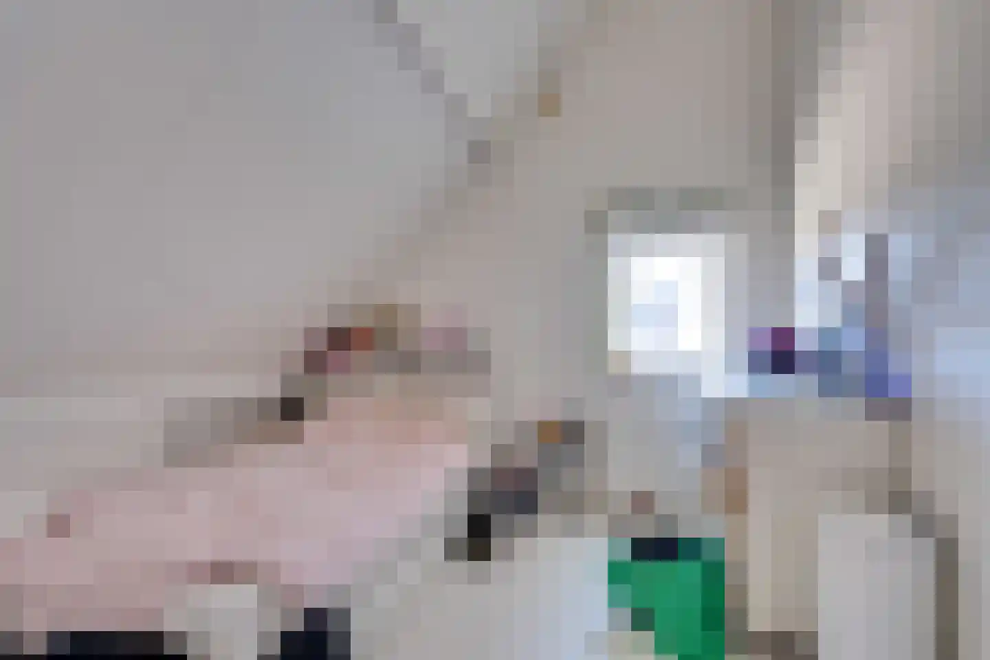 Noordhoeklaan 24 Goes thumbnail 34