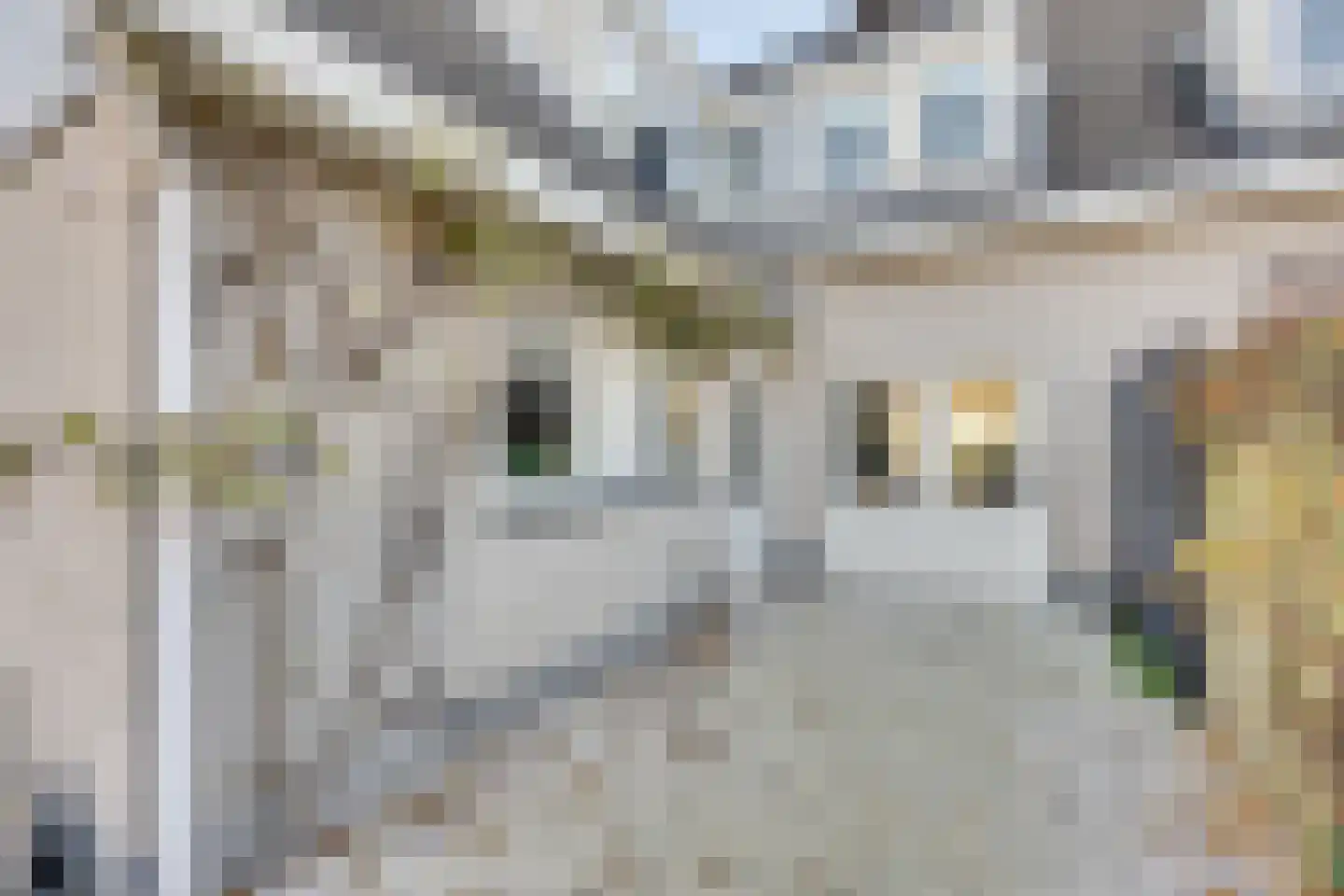 Noordhoeklaan 24 Goes thumbnail 39