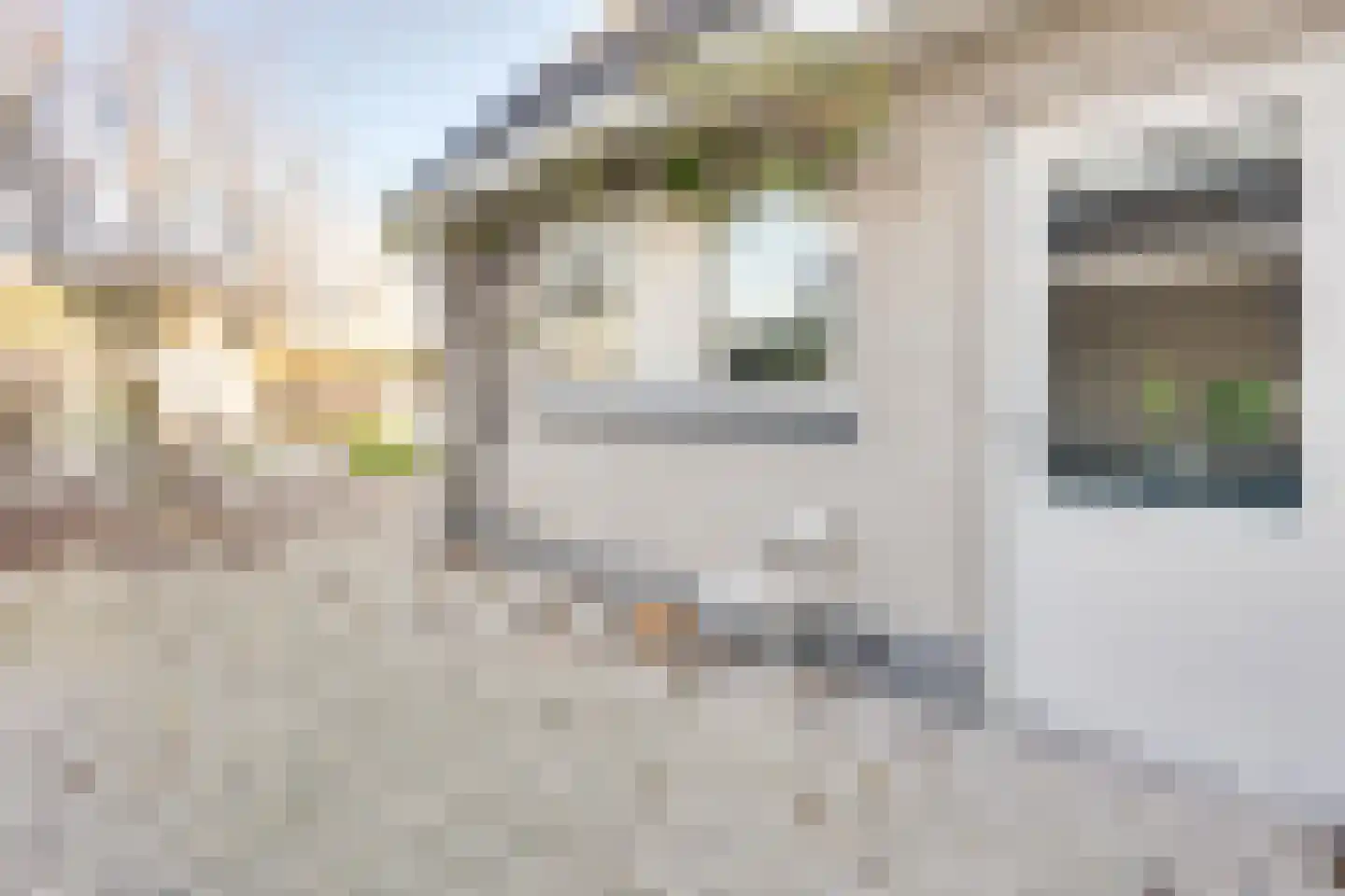 Noordhoeklaan 24 Goes thumbnail 41