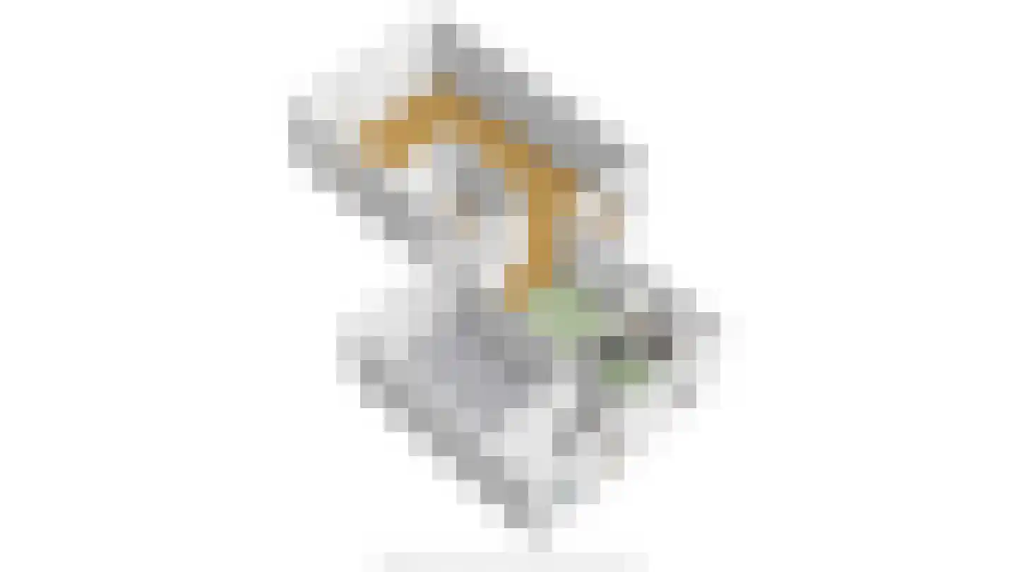 Noordhoeklaan 24 Goes thumbnail 53