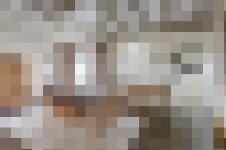Noordhoeklaan 8 Goes thumbnail 11