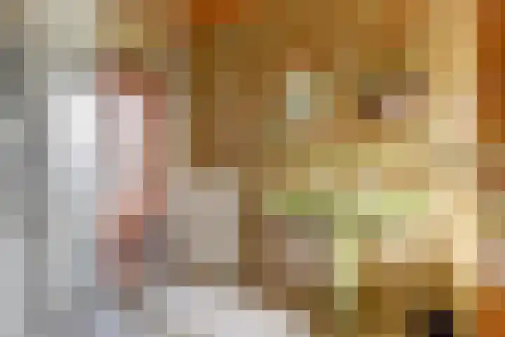 Noordhoeklaan 8 Goes thumbnail 16