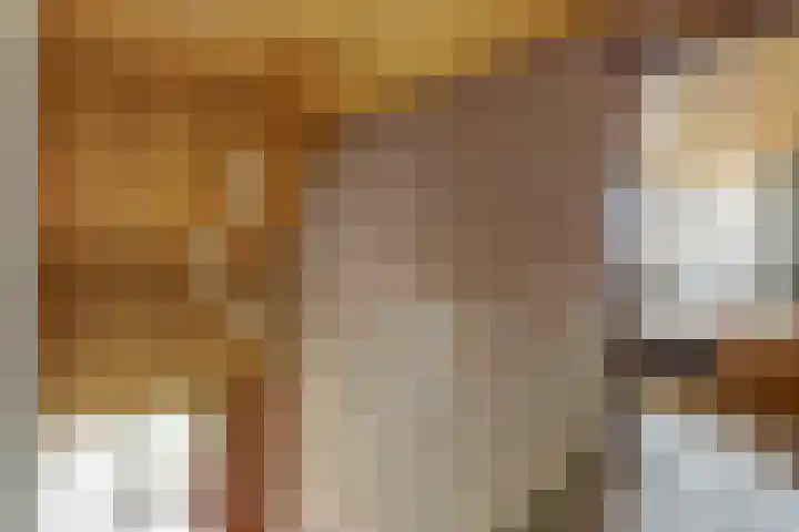 Noordhoeklaan 8 Goes thumbnail 18