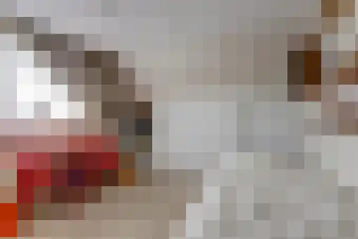 Noordhoeklaan 8 Goes thumbnail 19