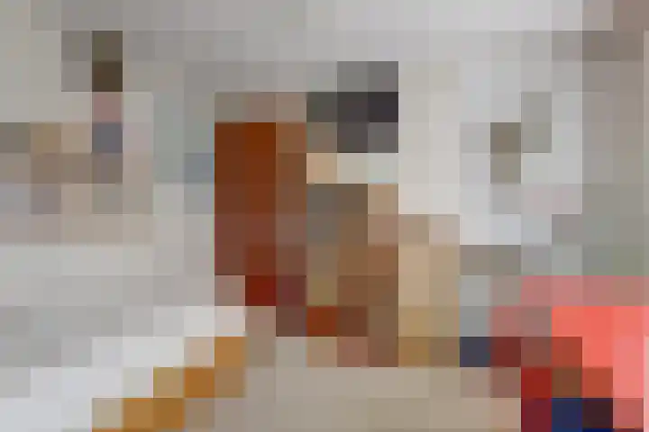 Noordhoeklaan 8 Goes thumbnail 20
