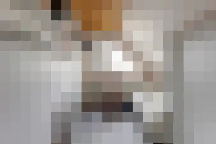 Noordhoeklaan 8 Goes thumbnail 21