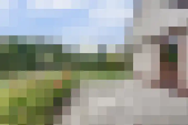 Noordhoeklaan 8 Goes thumbnail 28