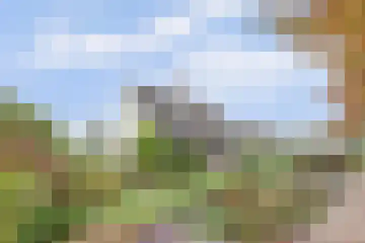 Noordhoeklaan 8 Goes thumbnail 33