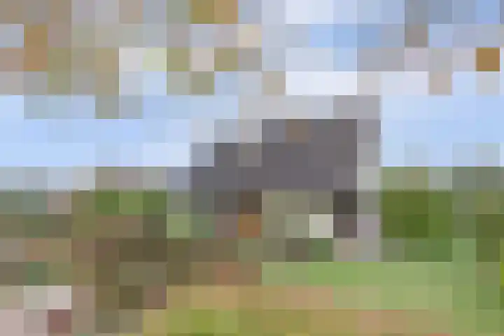 Noordhoeklaan 8 Goes thumbnail 34