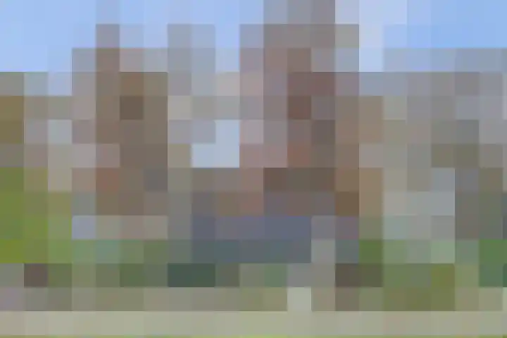 Noordhoeklaan 8 Goes thumbnail 36