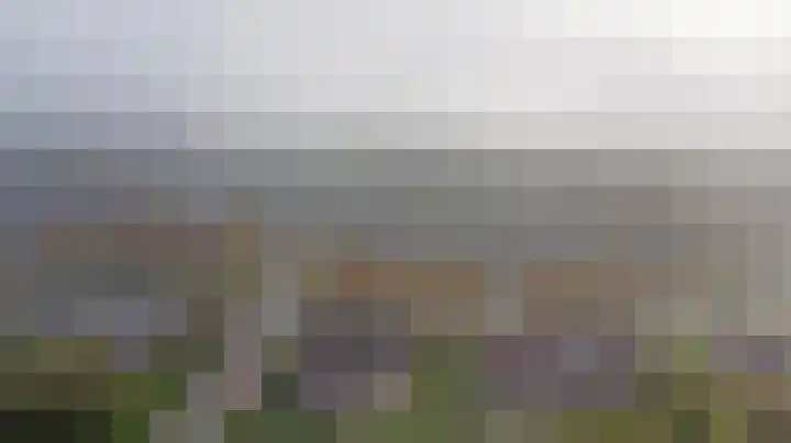 Noordhoeklaan 8 Goes thumbnail 38