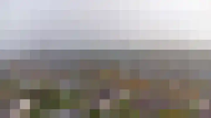 Noordhoeklaan 8 Goes thumbnail 39