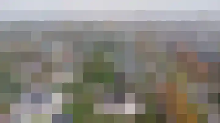 Noordhoeklaan 8 Goes thumbnail 40