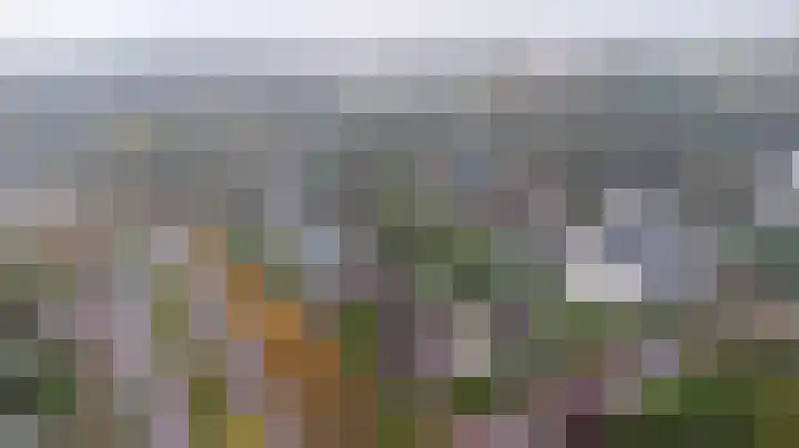Noordhoeklaan 8 Goes thumbnail 44