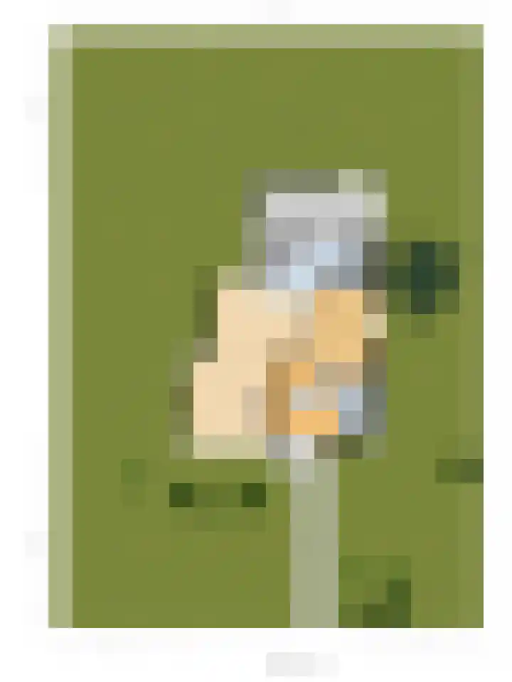 Noordhoeklaan 8 Goes thumbnail 46