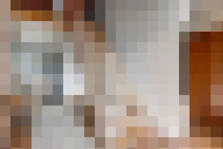 Noordhoeklaan 8 Goes thumbnail 5