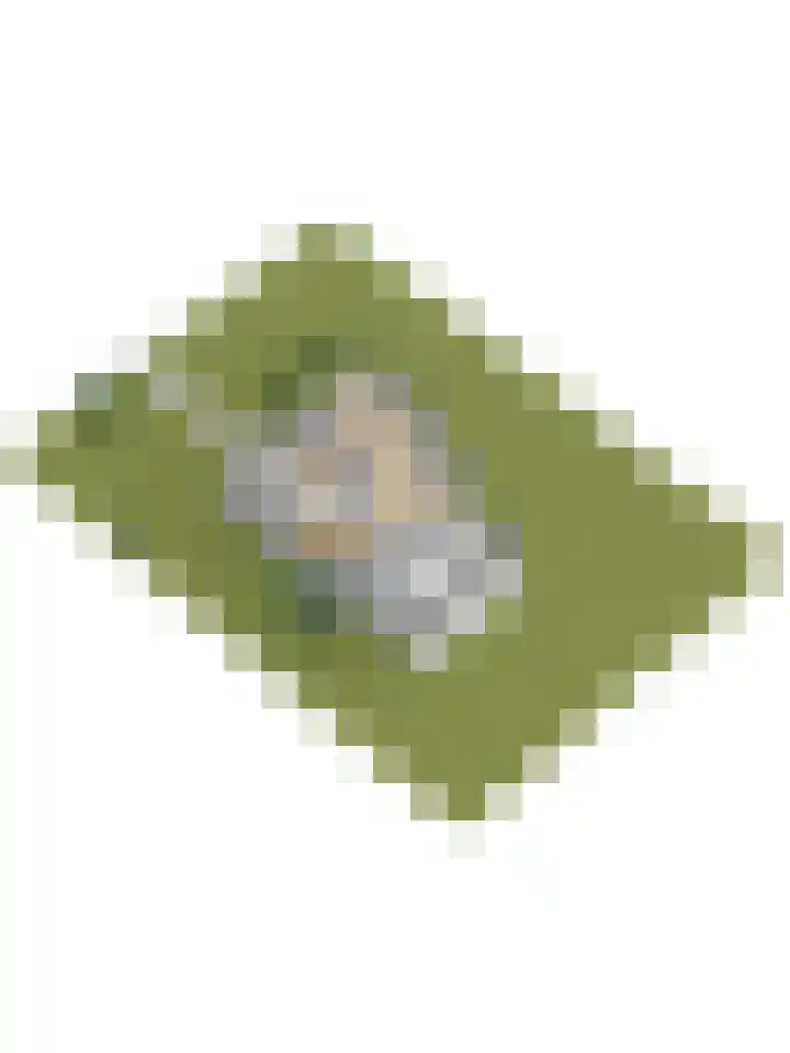 Noordhoeklaan 8 Goes thumbnail 50