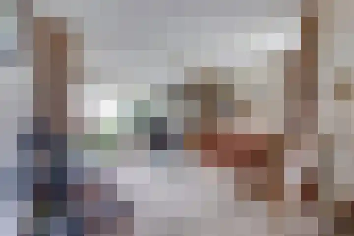 Noordhoeklaan 8 Goes thumbnail 7