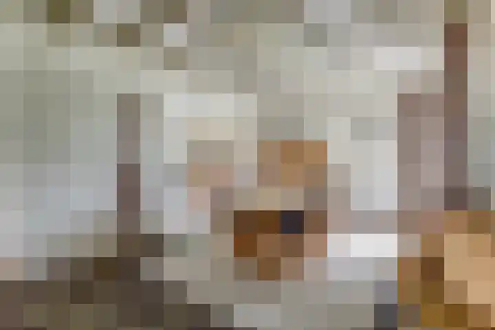 Noordhoeklaan 8 Goes thumbnail 9