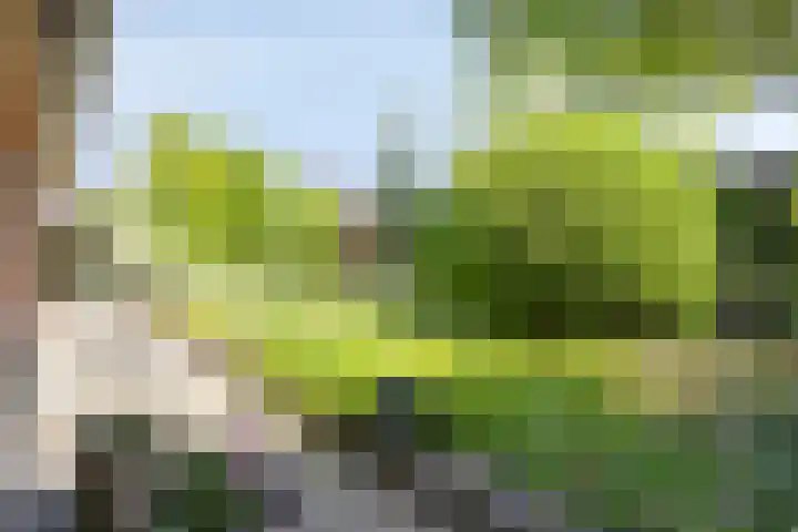Noordhoeksedijk 1 Noordhoek thumbnail 5