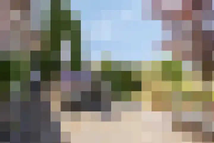 Noordhoeksedijk 1 Noordhoek thumbnail 6