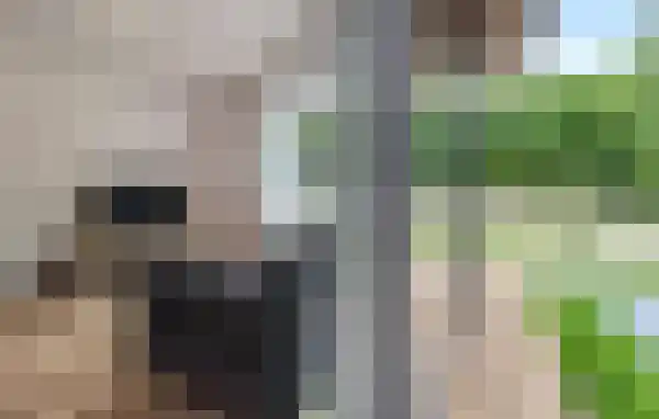 Noordhoeksestraat 3 Oud Gastel thumbnail 4