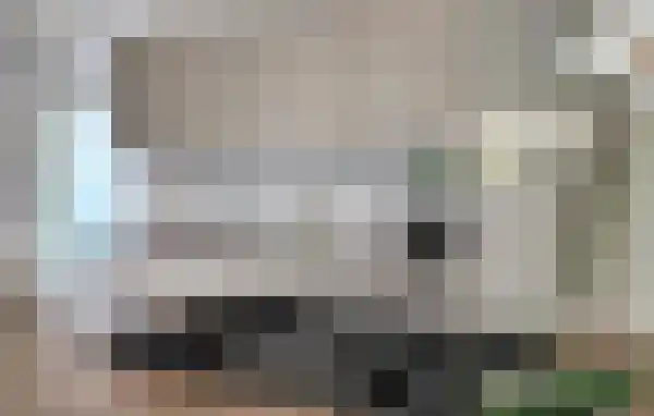 Noordhoeksestraat 3 Oud Gastel thumbnail 6