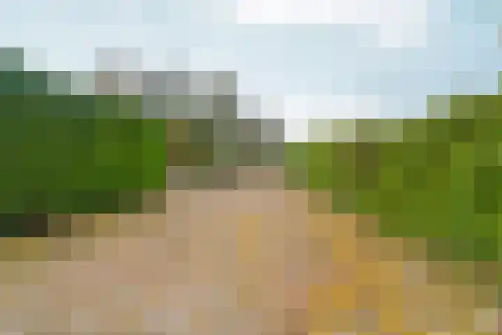 Noordhoeksestraat 4 Driel thumbnail 103