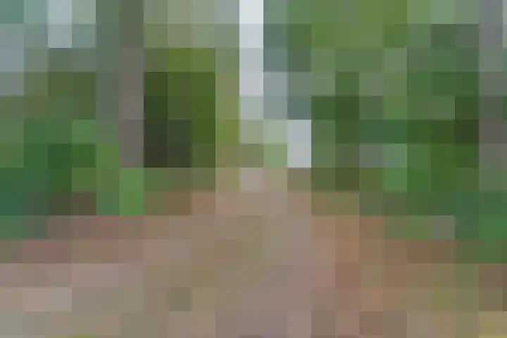 Noordhoeksestraat 4 Driel thumbnail 104