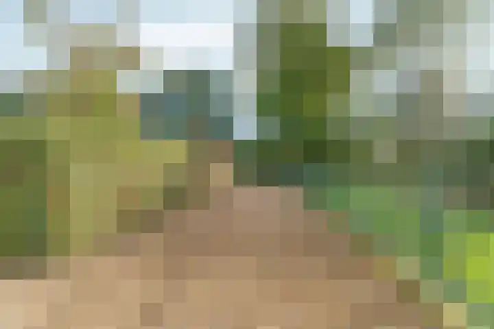 Noordhoeksestraat 4 Driel thumbnail 105