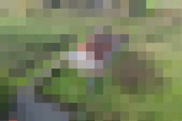Noordhoeksestraat 4 Driel thumbnail 106