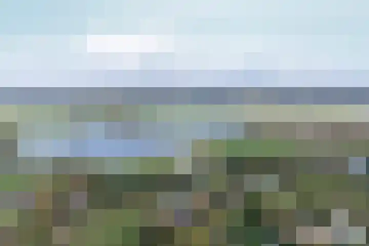 Noordhoeksestraat 4 Driel thumbnail 109