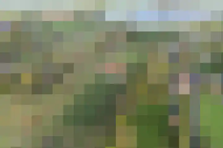 Noordhoeksestraat 4 Driel thumbnail 110
