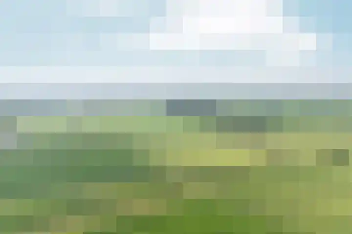 Noordhoeksestraat 4 Driel thumbnail 111