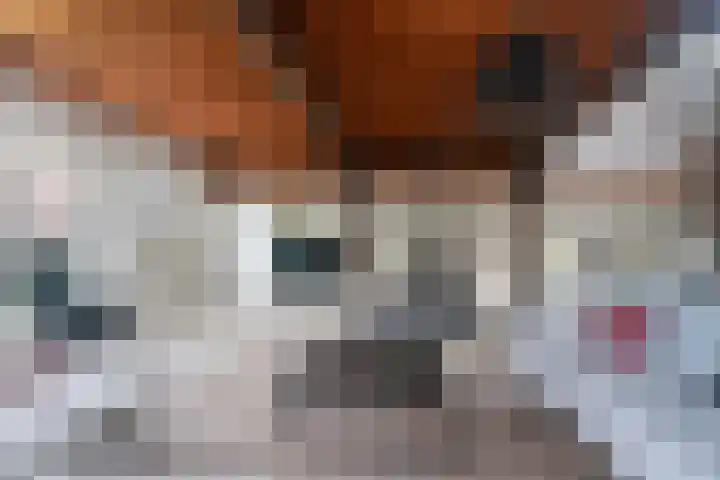 Noordhoeksestraat 4 Driel thumbnail 12