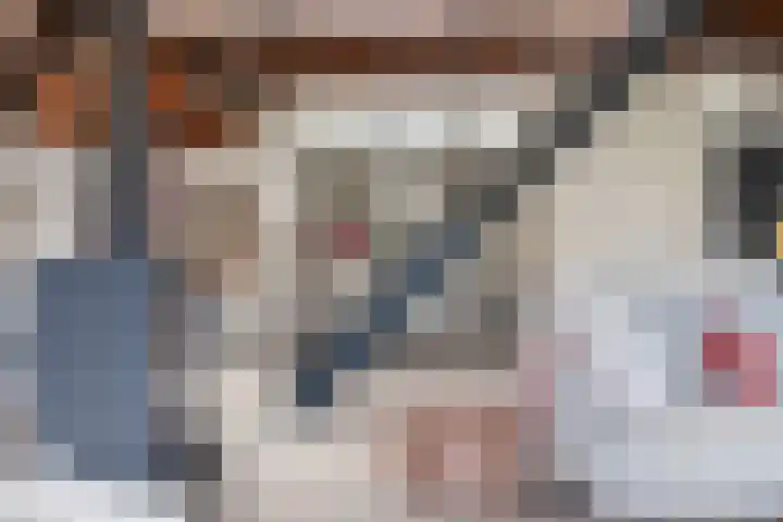 Noordhoeksestraat 4 Driel thumbnail 13