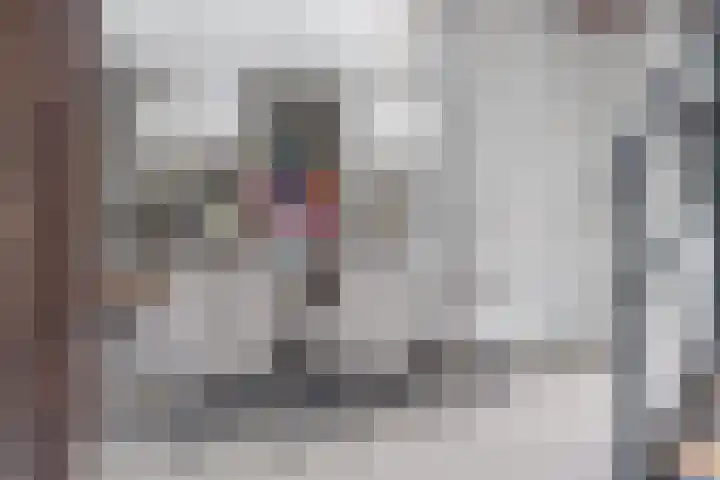 Noordhoeksestraat 4 Driel thumbnail 22