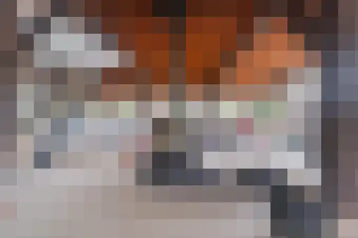 Noordhoeksestraat 4 Driel thumbnail 24