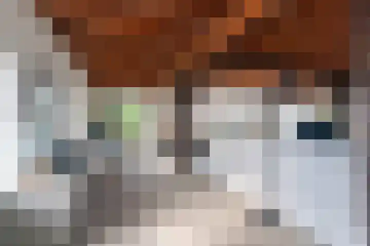 Noordhoeksestraat 4 Driel thumbnail 28