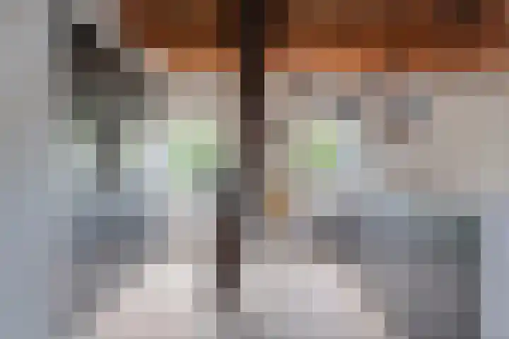 Noordhoeksestraat 4 Driel thumbnail 31