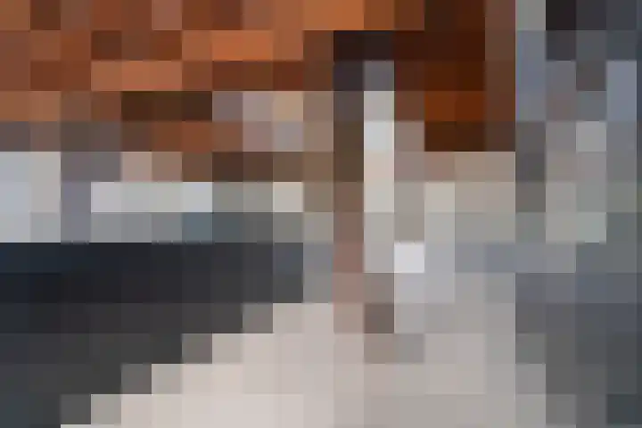 Noordhoeksestraat 4 Driel thumbnail 33