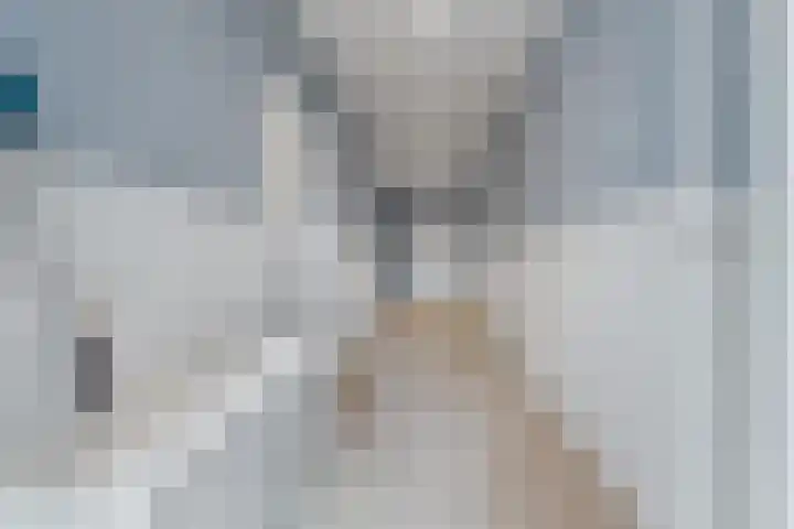 Noordhoeksestraat 4 Driel thumbnail 5